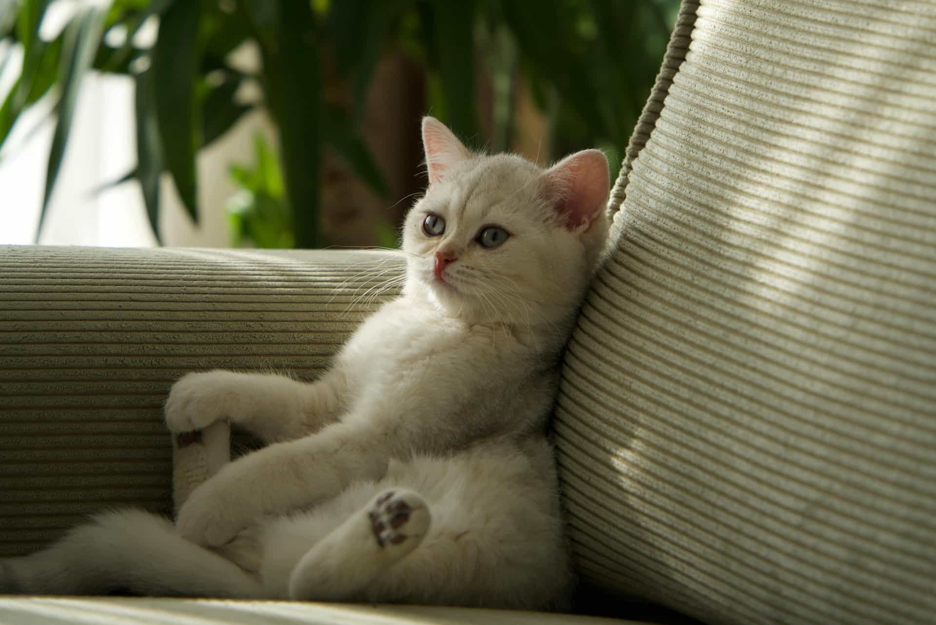 10 Unusual Date Ideas for Quirky Couples đđ¶