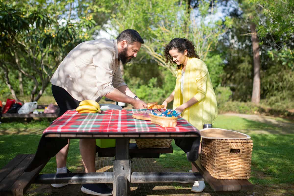 Picnic in the Park