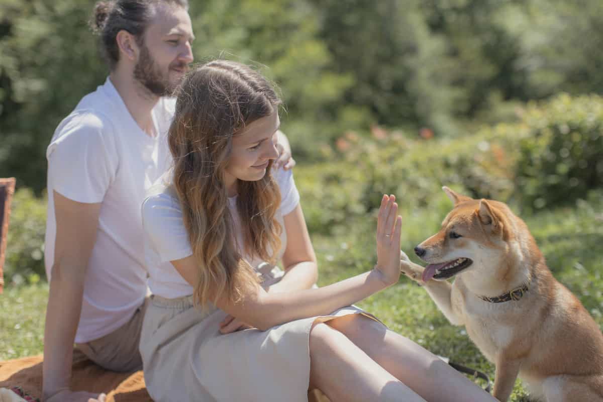 Puppy Rental